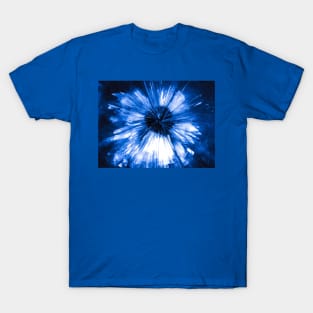 Nova T-Shirt